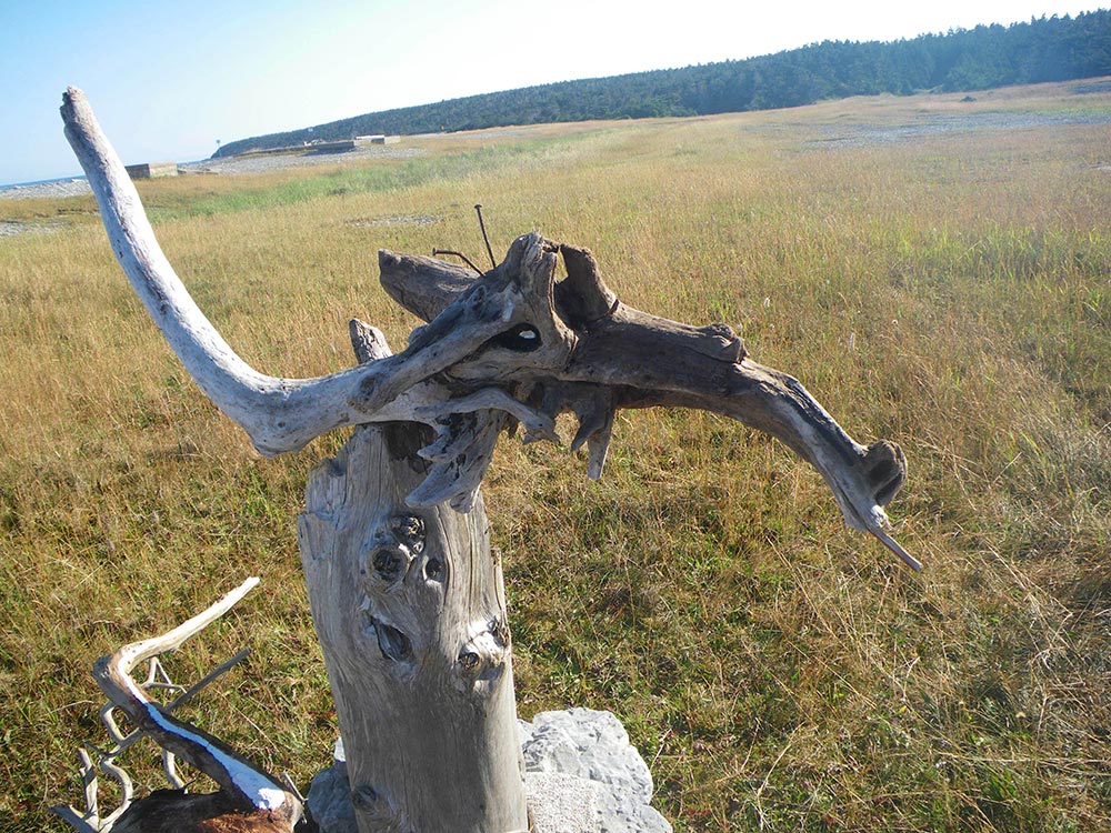 -residence-anticosti-