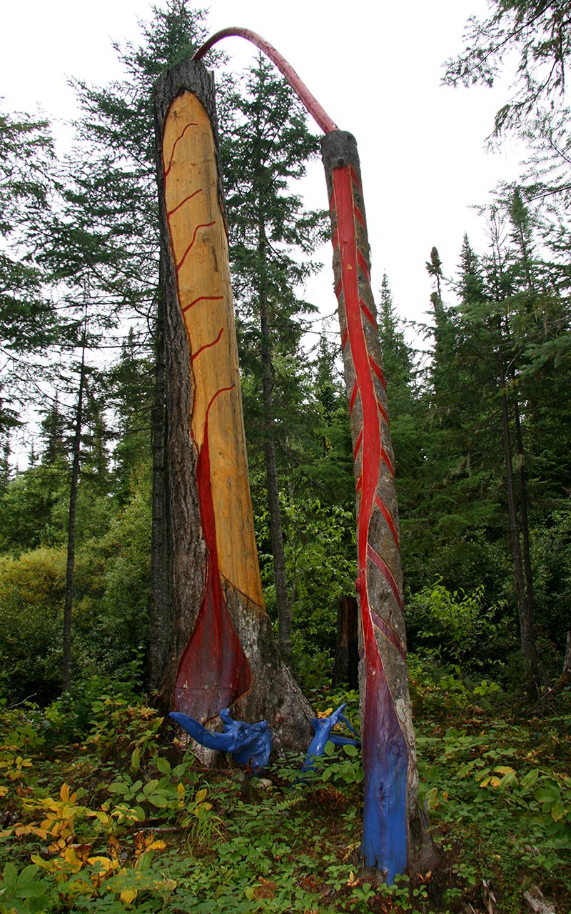 Le cœur de l’arbre parle