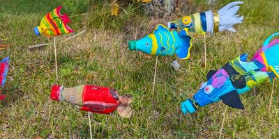 Le banc de poissons
